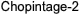 Satzung
